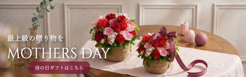 母の日特集