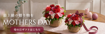 母の日特集