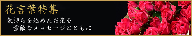ご希望のデザインがございましたら、お気軽に御問い合わせ下さい
