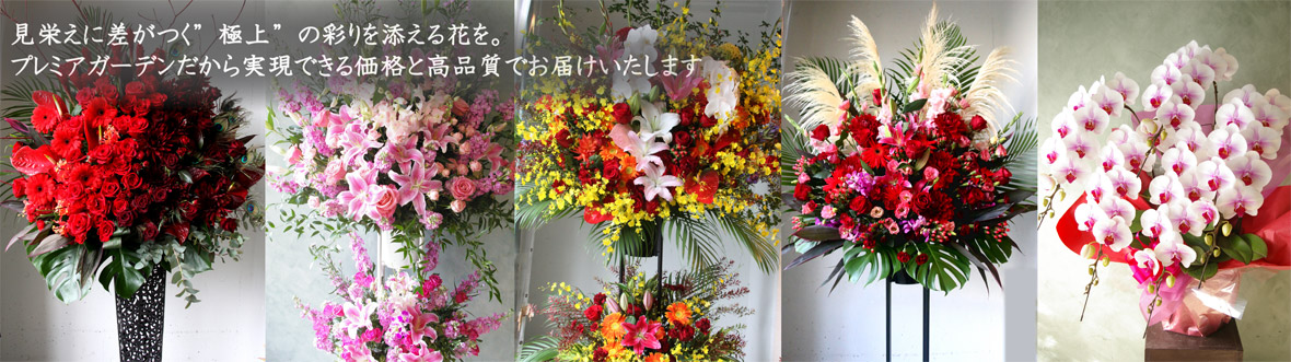 胡蝶蘭 スタンド花 大切な瞬間に極上の彩りを添える花を、本日お届けします。(東京23区・大阪市内)