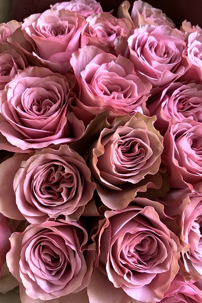 シックな色合いが素敵なベージュピンクのバラの花束 30本前後 15 300円 胡蝶蘭 高級スタンド花 プレミアガーデン