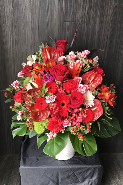 お祝い事といえば 赤 人気の豪華フラワーアレンジメント 10 000円 胡蝶蘭 高級スタンド花 プレミアガーデン