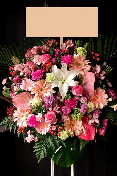 ピンク色がかわいい印象の豪華スタンド花 1段 13 000円 胡蝶蘭 高級スタンド花 プレミアガーデン