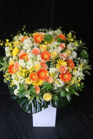 おしゃれな陶器台のスタンド花 都内 25 000円 胡蝶蘭 高級 おしゃれな陶器台のスタンド花 都内 25 000円 胡蝶蘭 高級