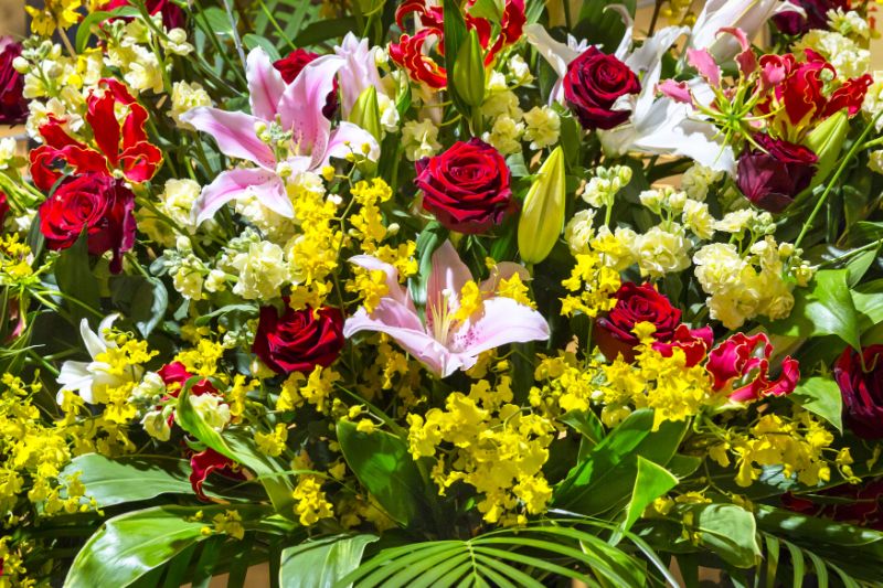 今すぐ贈れる 開業祝いに贈るお花の選び方 料金やおすすめ通販もご紹介 胡蝶蘭 スタンド花のプレミアガーデン