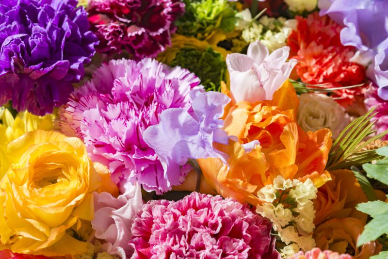 今すぐ贈れる 開業祝いに贈るお花の選び方 料金やおすすめ通販もご紹介 胡蝶蘭 スタンド花のプレミアガーデン