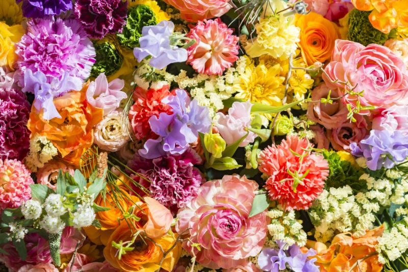 祝い花として贈るスタンド花の選び方 基礎知識から値段比較まで 胡蝶蘭 スタンド花のプレミアガーデン