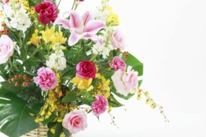開店祝いにはどんなお花を贈ると喜ばれるの 相場やマナーや注意点 胡蝶蘭 スタンド花のプレミアガーデン