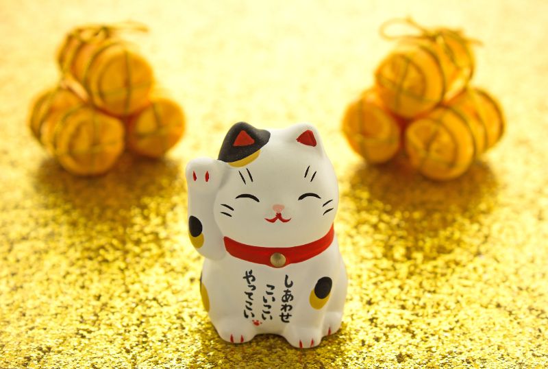 観葉植物を使った風水で良い運気を取り入れよう 場所 種類別の置き方まとめ 胡蝶蘭 スタンド花のプレミアガーデン