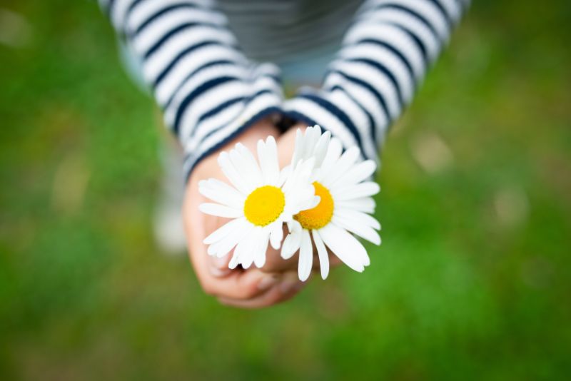 喜ばれるお花のプレゼントの選び方 通販で選ぶメリットや人気の花を紹介 胡蝶蘭 スタンド花のプレミアガーデン