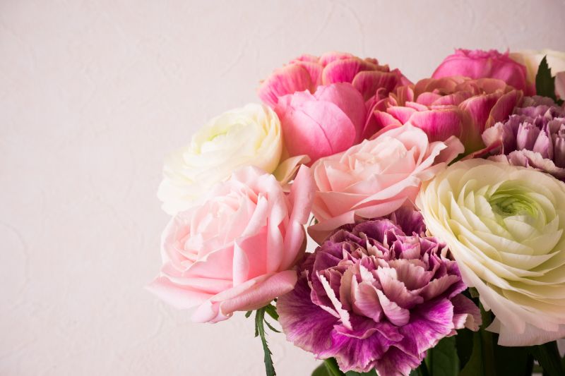 ラナンキュラスをプレゼントするときのポイントは 花言葉や育て方まで徹底解説 胡蝶蘭 スタンド花のプレミアガーデン