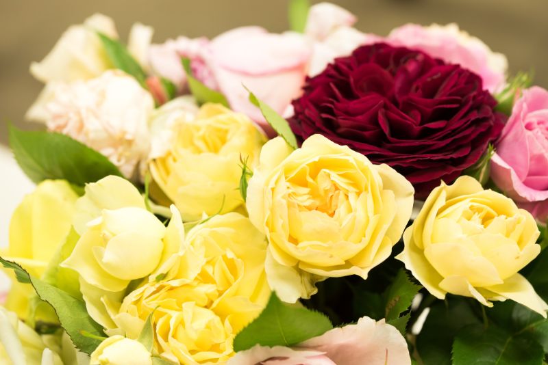 バラのお花で生活に彩りを おしゃれな飾り方や人気品種 プレゼント方法を紹介 胡蝶蘭 スタンド花のプレミアガーデン