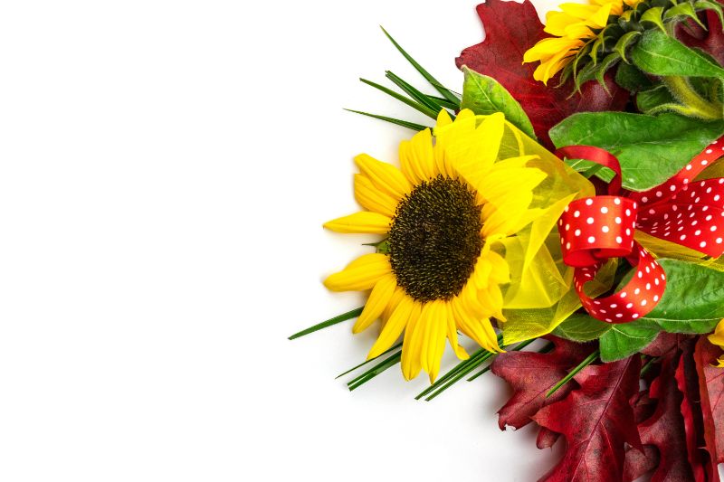 元気なひまわりをプレゼントしてみよう 色 本数の花言葉や通販サイトなどを紹介 胡蝶蘭 スタンド花のプレミアガーデン