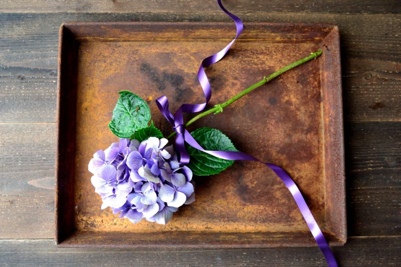 アジサイで日常をもっとおしゃれに 人気の定番 新品種ランキングをご紹介 胡蝶蘭 スタンド花のプレミアガーデン