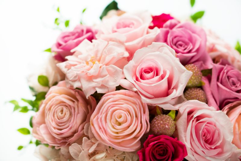 バラのプレゼントを考えている方必見 色や本数別の花言葉やよくある質問を紹介 胡蝶蘭 スタンド花のプレミアガーデン