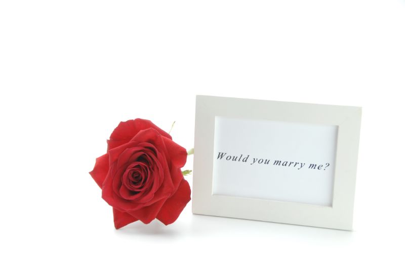 プロポーズで喜ばれる花を選ぶポイント 思い出に残るプロポーズを成功させよう 胡蝶蘭 スタンド花のプレミアガーデン プロポーズで喜ばれる花を選ぶポイント 思い出に残るプロポーズを成功させよう 胡蝶蘭 スタンド花のプレミアガーデン