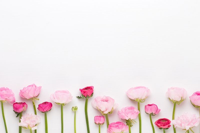 華美で品のある花 ラナンキュラス の花束を 魅力的 なあの人に贈ろう 胡蝶蘭 スタンド花のプレミアガーデン