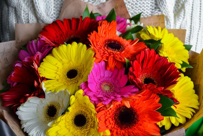 合格祝いで送りたい素敵な花言葉をもつお花13選 胡蝶蘭 スタンド花のプレミアガーデン