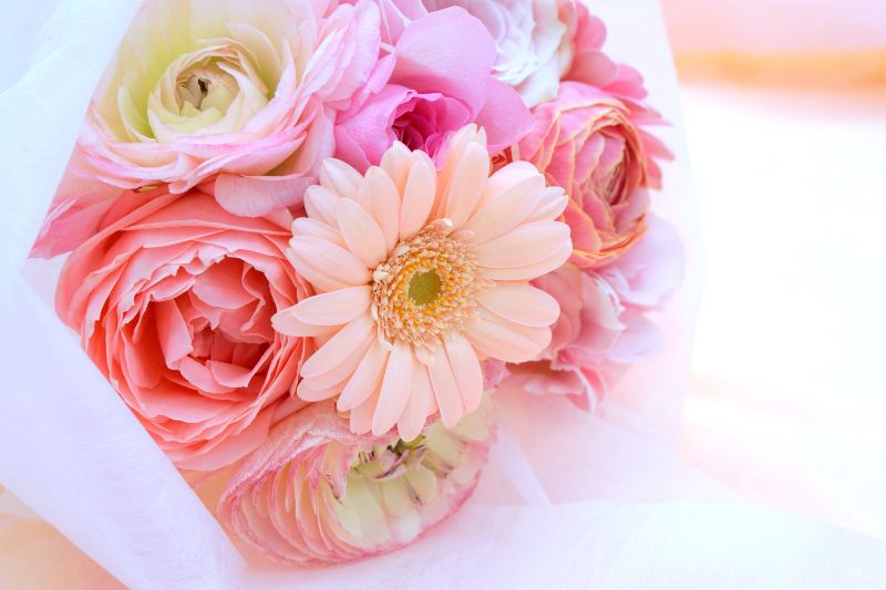 笑顔が素敵なあの人に贈ろう 笑顔 にまつわる花言葉を持つお花 胡蝶蘭 スタンド花のプレミアガーデン