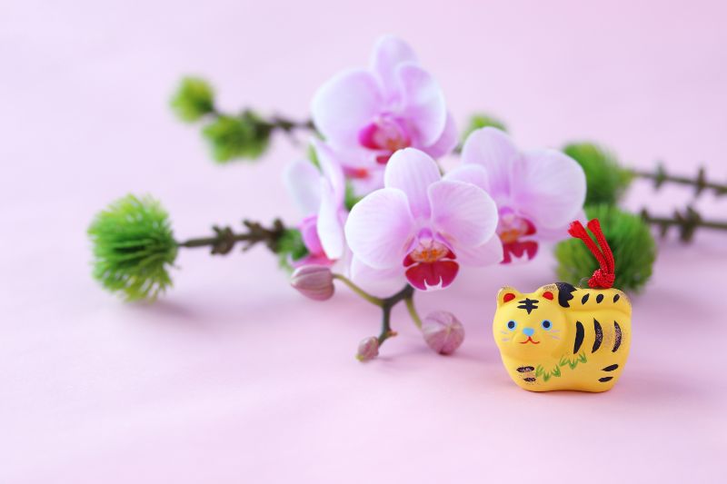胡蝶蘭の冬の育て方 越冬させる方法や よくある質問もご紹介 胡蝶蘭 スタンド花のプレミアガーデン