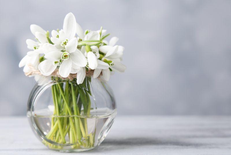 1月1日の誕生花は雪の花 スノードロップ 特徴や花言葉をご紹介 胡蝶蘭 スタンド花のプレミアガーデン