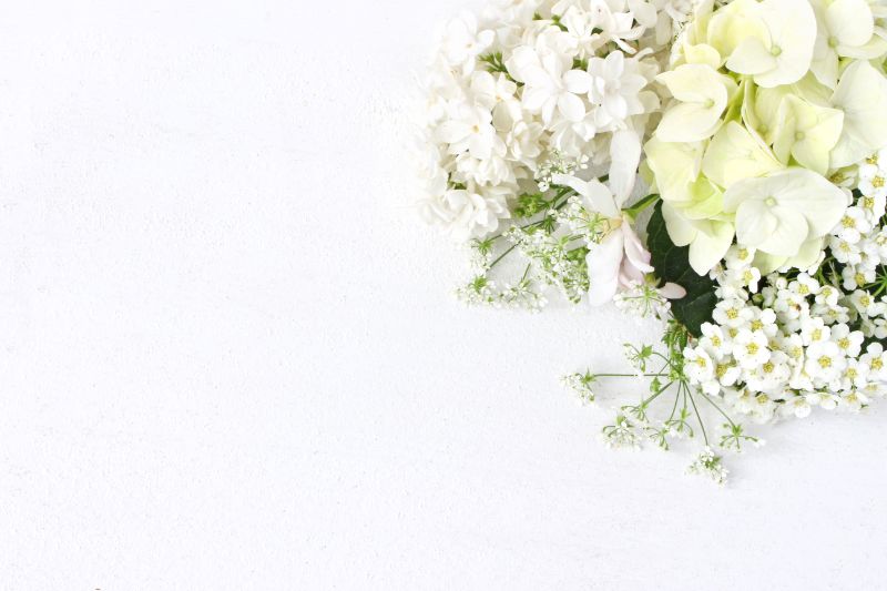 清楚な印象の白い花束 プレゼントにぴったりな種類も紹介 胡蝶蘭 スタンド花のプレミアガーデン