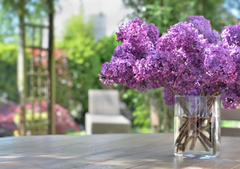 必ず喜ばれる プレゼントに添える花のおすすめと花言葉 胡蝶蘭 スタンド花のプレミアガーデン