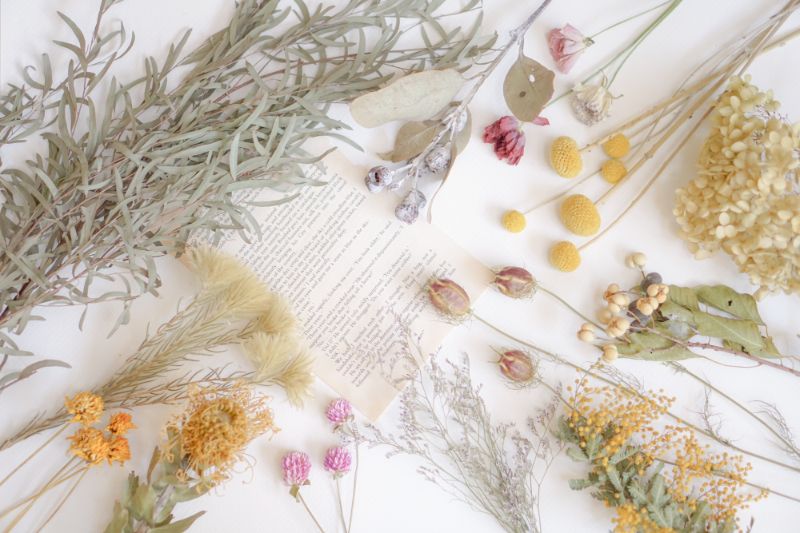 ドライフラワーにしやすい花は？おすすめの花・葉物 | 胡蝶蘭 