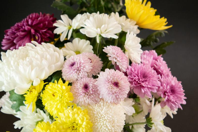 お盆 お供え花 おすすめ