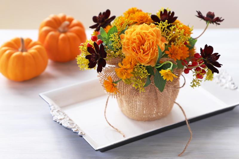 10月 花 イベント イメージ