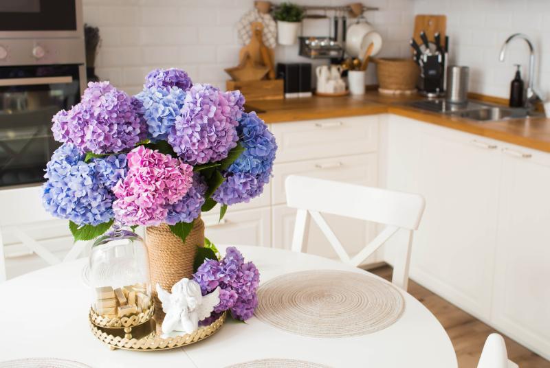 秋色紫陽花を長く楽しむコツ