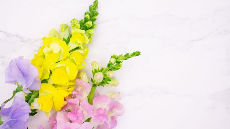 3月の門出のプレゼントに最適な花材5選