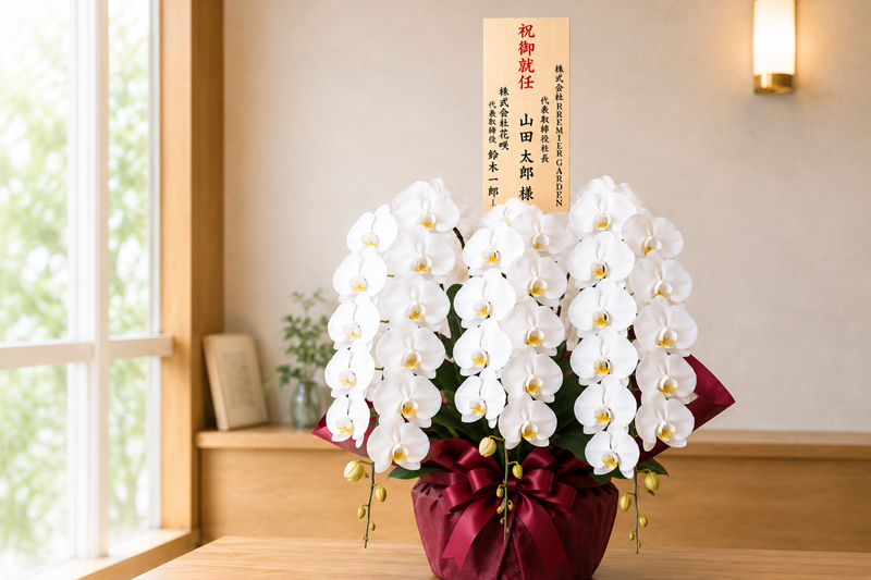 社長就任祝いの胡蝶蘭と立札マナー完全ガイド