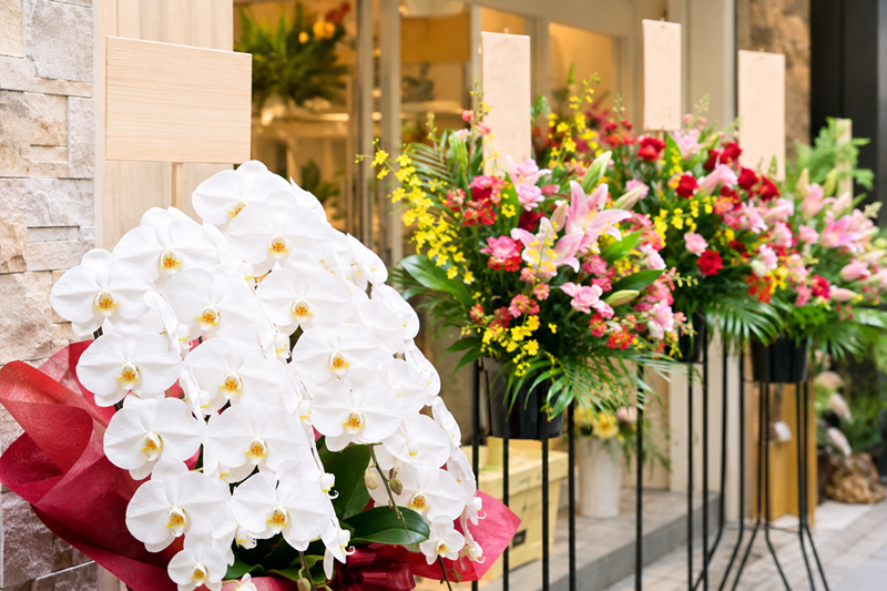 開店祝いの花の立札マナー完全ガイド