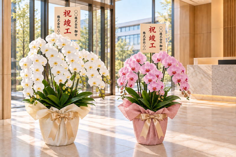 新社屋のエントランスに並ぶ、竣工祝いの立札を添えた白とピンクの胡蝶蘭